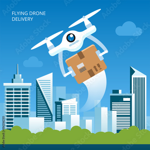 Drone delivery concept