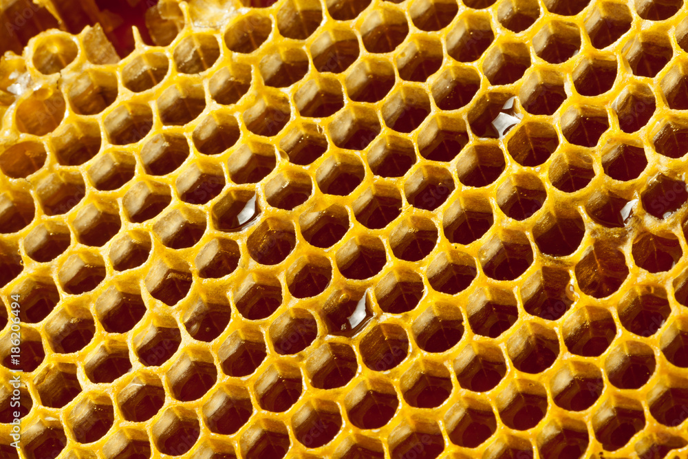 Wellbeing and healthy food series - Close up shot of fresh organic honey in a comb Wellbeing and healthy food series - Close up shot of fresh organic honey in a comb