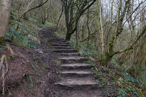 Stairway to Thor's cave .