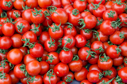 Organic Tomatoes background top view on market © Ivan Dragiev