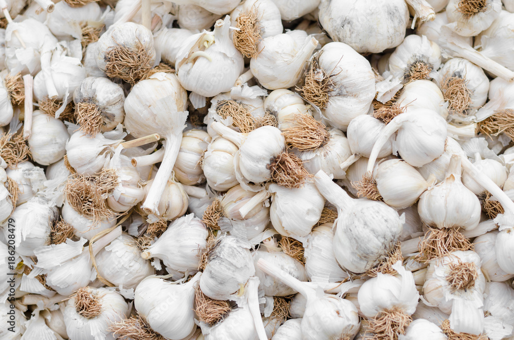 White garlic pile texture. Fresh garlic on market table closeup photo. Vitamin healthy food spice image. Spicy cooking ingredient picture. Pile of white garlic heads. White garlic head heap top view White garlic pile texture. Fresh garlic on market table closeup photo. Vitamin healthy food spice image. Spicy cooking ingredient picture. Pile of white garlic heads. White garlic head heap top view