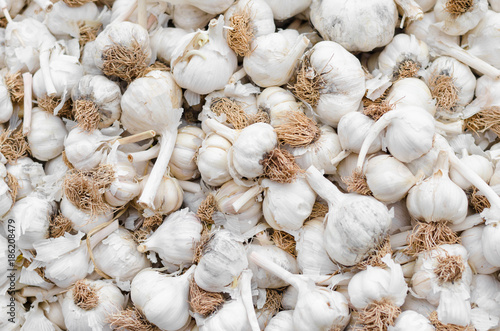 White garlic pile texture. Fresh garlic on market table closeup photo. Vitamin healthy food spice image. Spicy cooking ingredient picture. Pile of white garlic heads. White garlic head heap top view