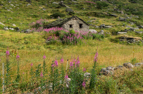 Chalet_montée au Caro