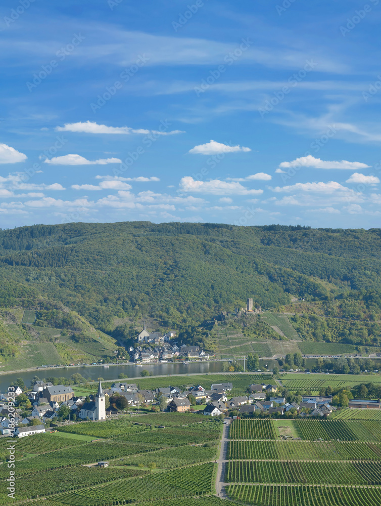 Blick auf die Weinorte Beilstein und Ellenz-Poltersdorf an der Mosel nahe Cochem,Rheinland-Pfalz,Deutschland
