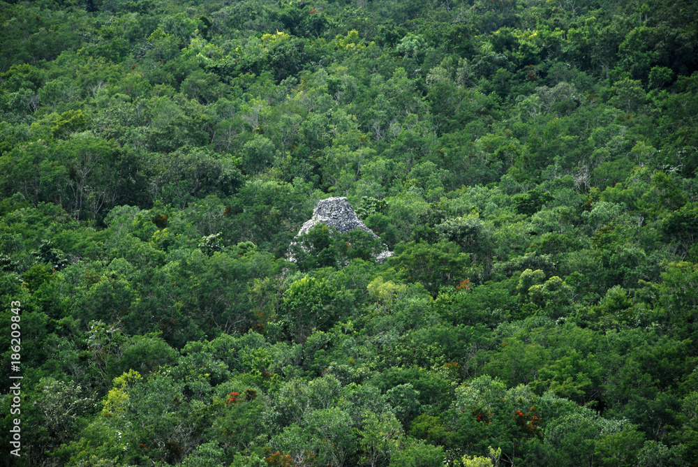 Fototapeta premium Landscape in Chiapas