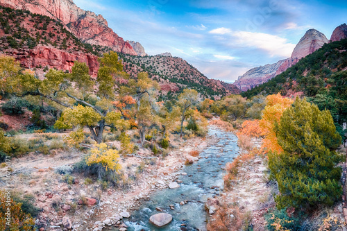 Autumn in Zion National Park