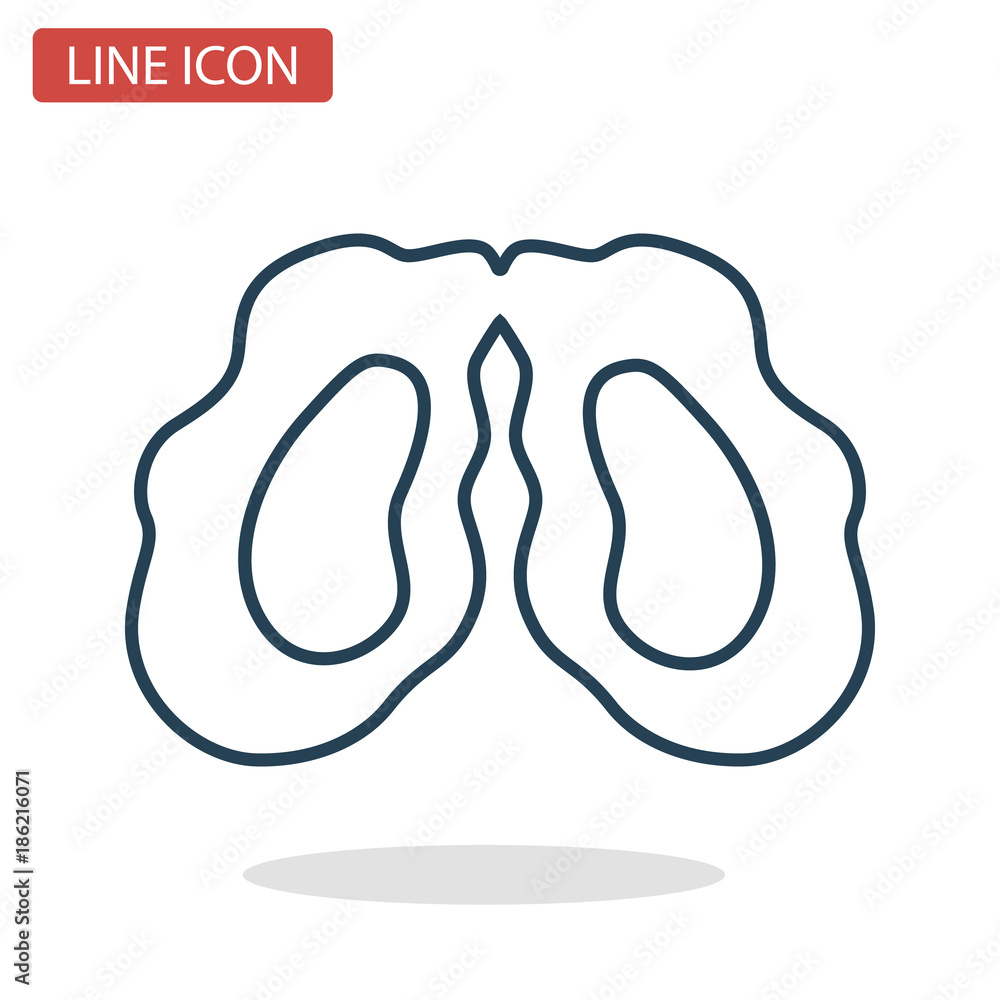 Oyster line icon for web and mobile design Oyster line icon for web and mobile design