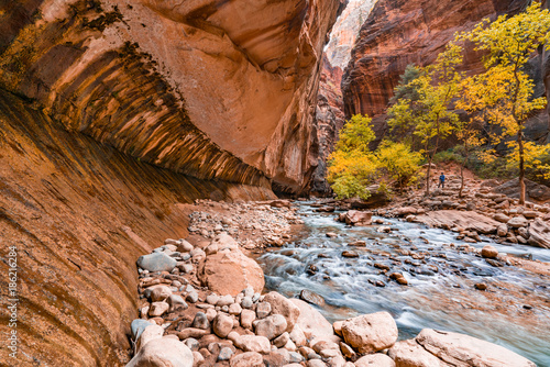Virgin River Narrows of Zion National Park, Utah
