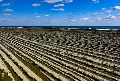 日南海岸　鬼の洗濯岩