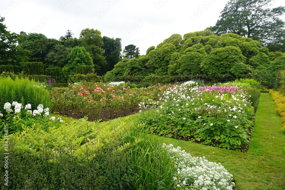Scenic formal garden with blooming flowers