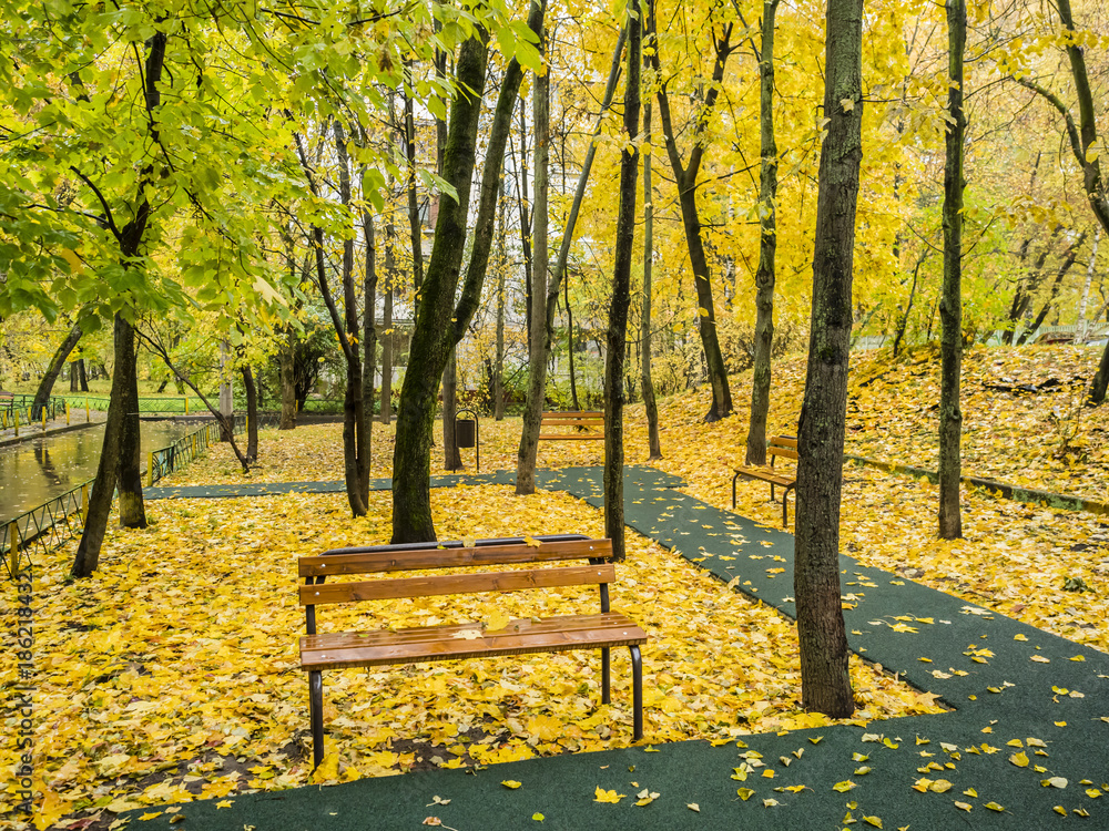 bench in the Park