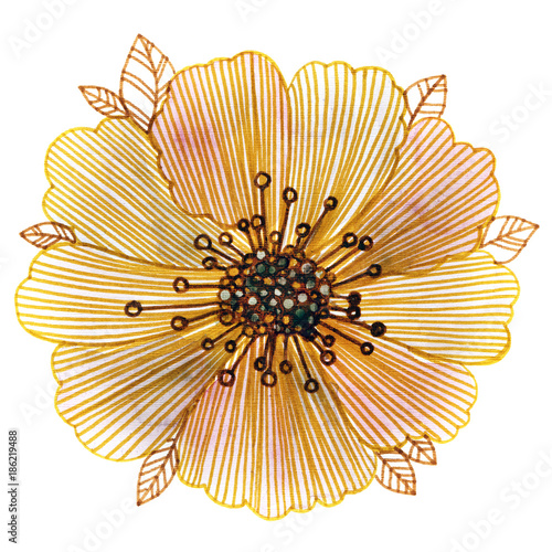 Single yellow hand-drawn flower  beautiful floral vintage illustration.