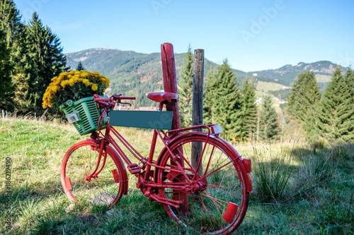 Retro red bike with flowers and a sign in front of a mountain landscape