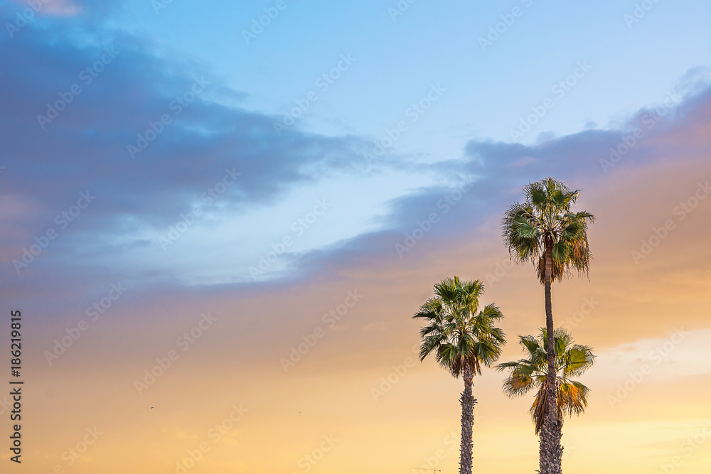 Fototapeta premium Palm Trees at Seashore Dramatic Beautiful Blue Pink Peachy Sky at Sunset. Pastel Golden Color Flare. Calm Sea Horizon. Tropical Vacation Traveling Asia Caribbean Mediterranean. Copy Space
