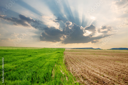 A field in spring time with two parcels of different stages of crop growth and a big cloud with sun-rays coming through