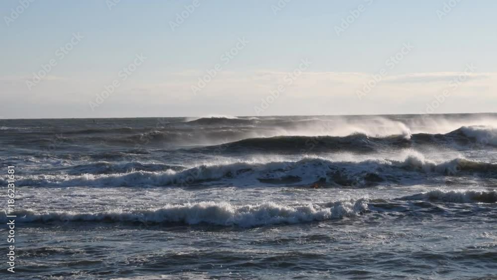 Winter Wave Winter Wave