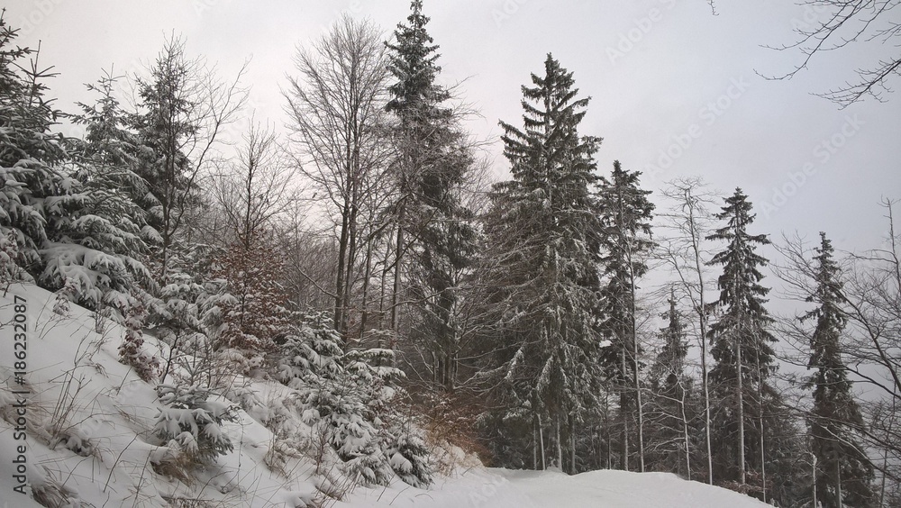 Nature covered in snow during deep winter. Slovakia Nature covered in snow during deep winter. Slovakia