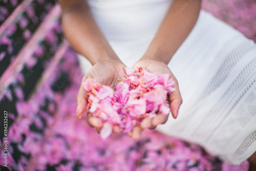 Close-up a young woman holding pink petals in hands outdoors Close-up a young woman holding pink petals in hands outdoors