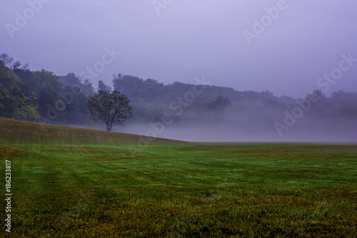 Romantic misty morning in New Jersey 