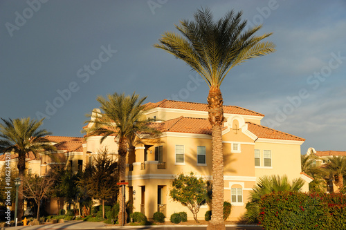 palm tree in a row and apartment buildings in residential area under morning sunlight