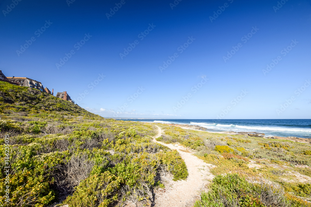 Beautiful view of the coast at Bosbokduin Nature Reserve in Still Bay, South Africa. It is known for its thatched roofed houses.
