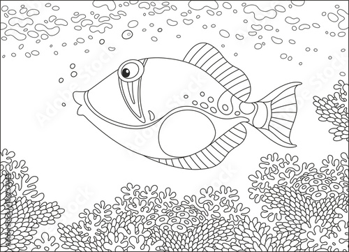 A triggerfish swimming over an amazing coral reef in a tropical sea, a black and white vector illustration in cartoon style for a coloring book