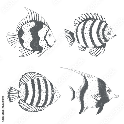 Set of hand drawn fish. Vector illustration.