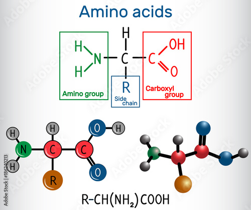 General formula of amino acids, which are building blocks of proteins and muscle fibers. Structural chemical formula and molecule model