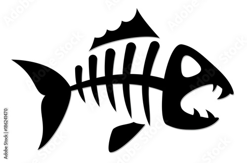 Skeleton of fish. 