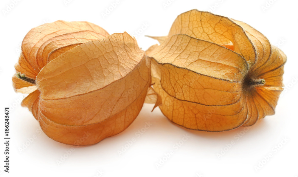 Fresh edible physalis Fresh edible physalis