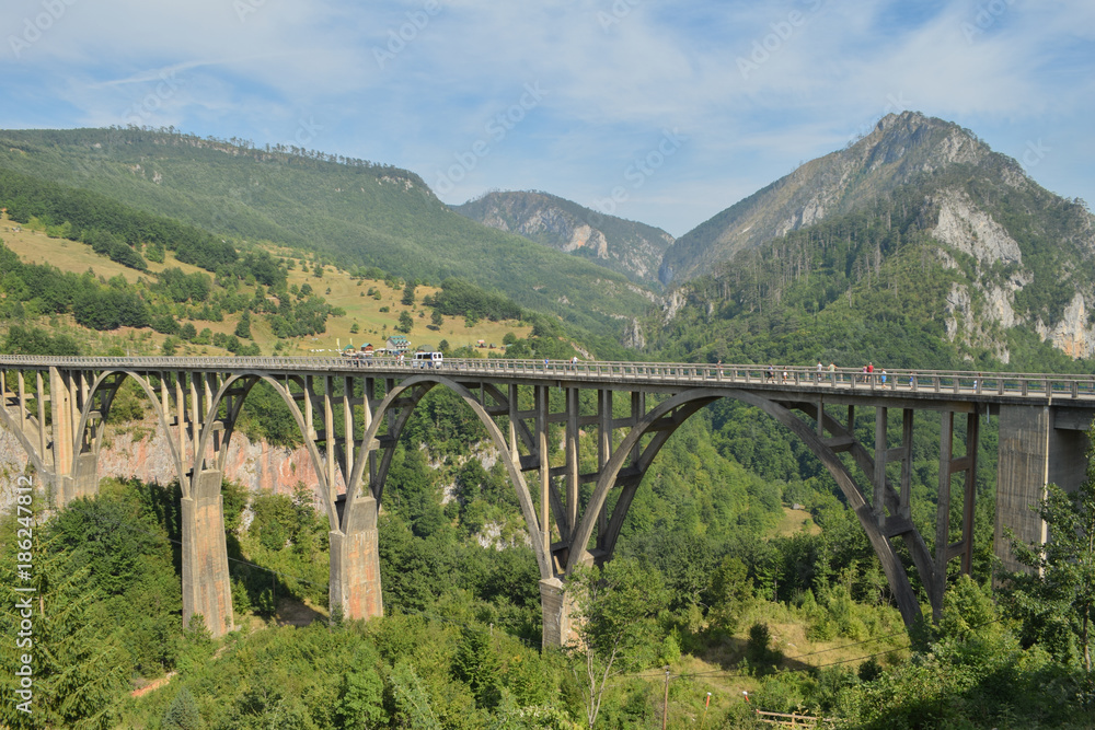 Canyon Tara, the Durdević Tara bridge, Montenegro, mountain view