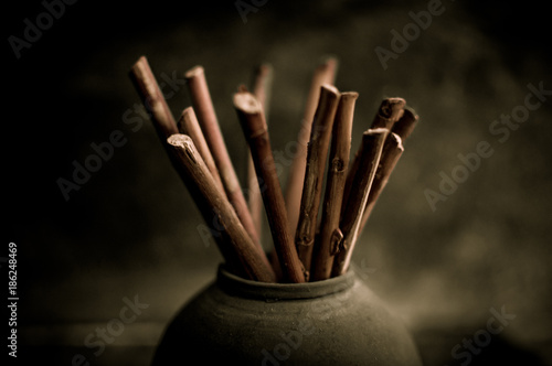 jarron con palos de madera tipo zen