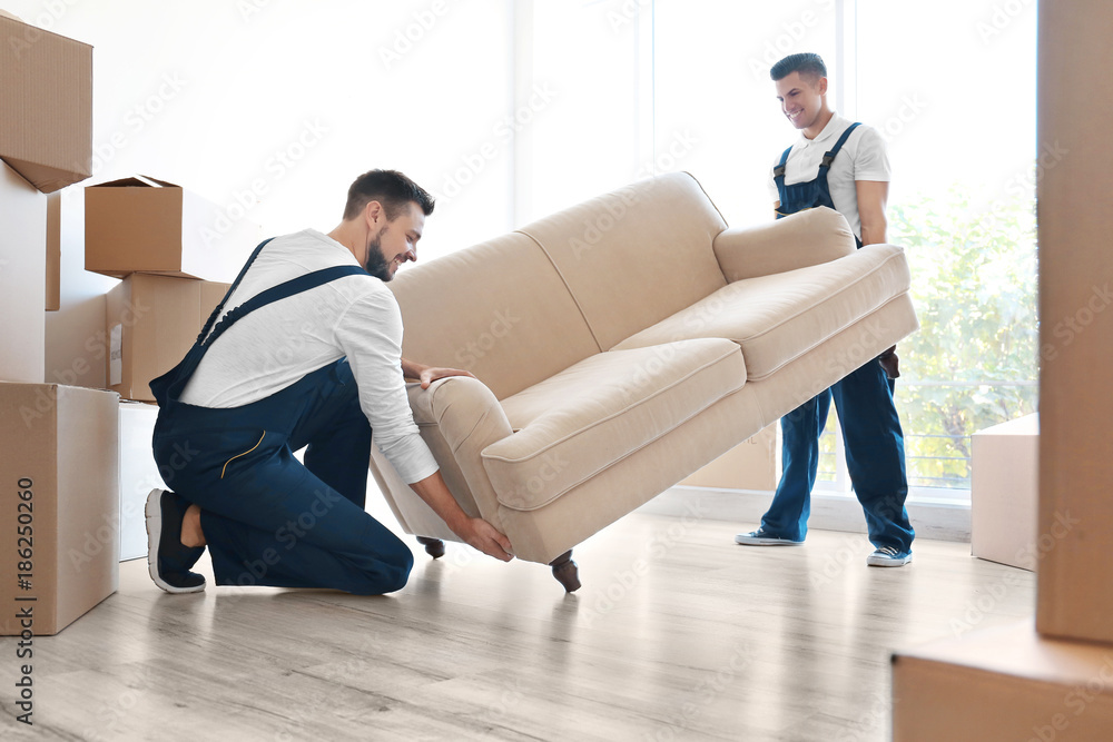 Delivery men moving sofa in room at new home - obrazy, fototapety, plakaty 