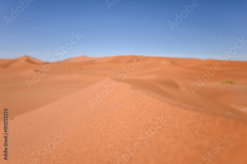 Close up detail of a red sand dune in Sossusvlei near Sesriem in famous Namib Desert in Namibia  Africa. Selective focus on sand grains in the foreground. Sossusvlei is a popular tourist destination.