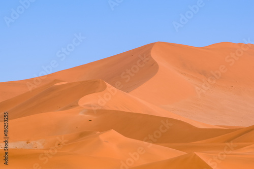 Panoramic view of red sand dunes in Sossusvlei near Sesriem in famous Namib Desert in Namibia  Africa. Sossusvlei is a popular tourist destination  the dunes are amongst the highest in the world.