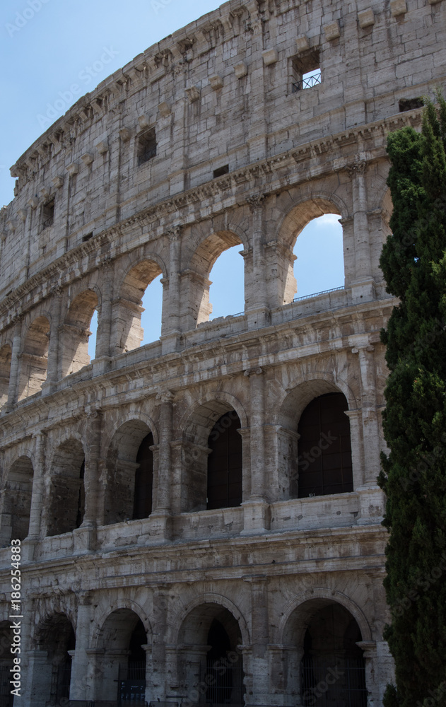 Colosseum Roman Architecture in Rome Italy