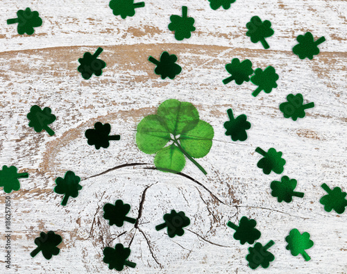 Real Four Leaf Clover for St Patrick Day