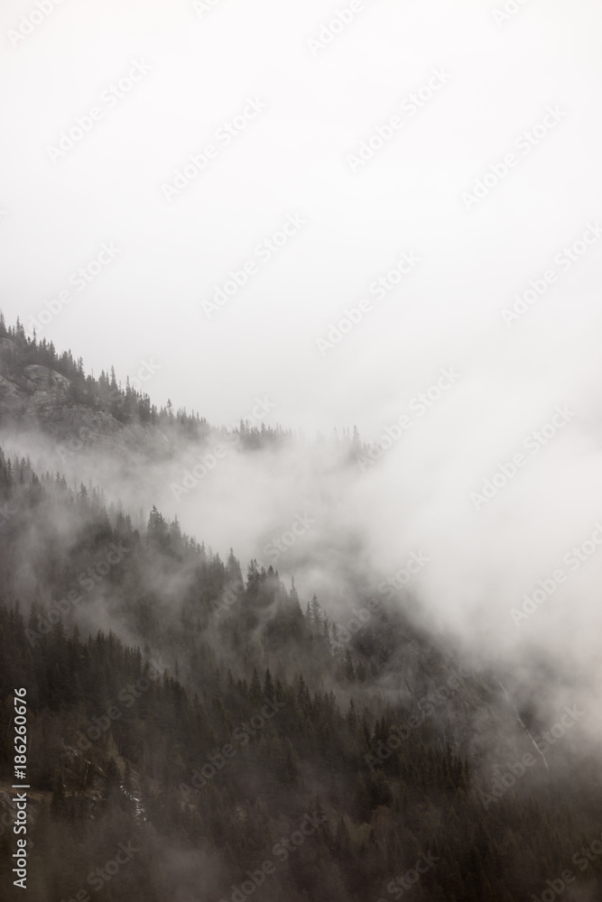 Dense fog covering slope in Norway.