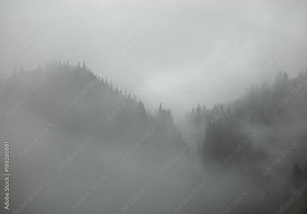 Dense fog covering valley in Norway.