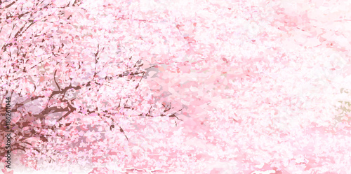 桜 花 春 背景 Stock Vector Adobe Stock 桜 花 春 背景 Stock Vector Adobe Stock