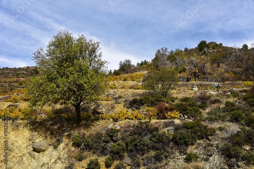 Zypern - Troodos Gebirge bei Kyperounta photo