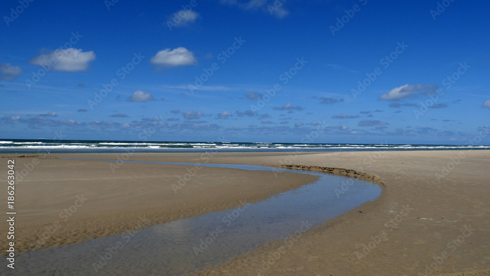 Spiaggia Olandese sul mare di Wadden Spiaggia Olandese sul mare di Wadden