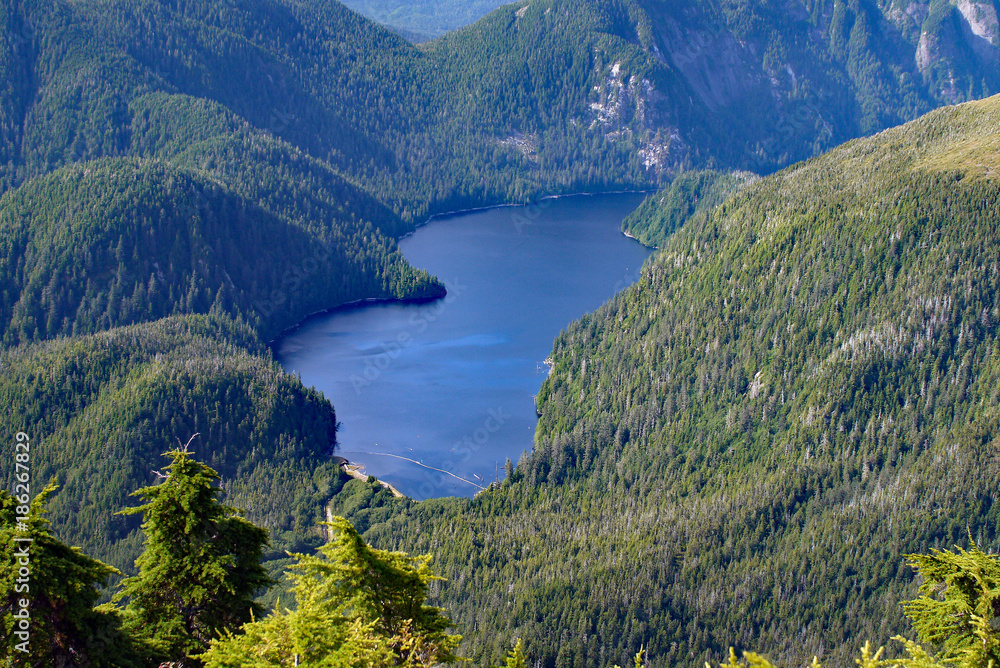 View of forested peaks and Resurrection Bay from Mount Marathon trail, Seward, Alaska