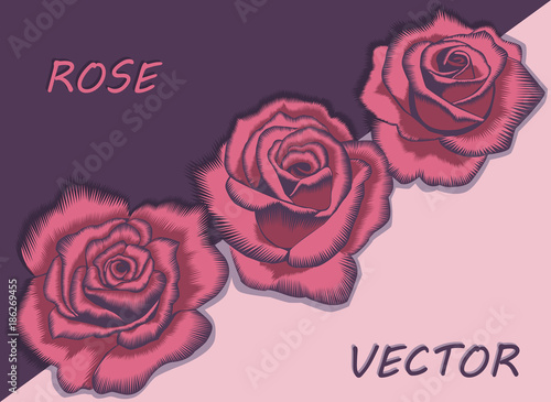 Vector decorative large flowers on the diagonal. Unusual stylized roses with sharp lines or similar to the zigzag embroidery. The gentle tones divided by two colors