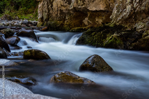 long exposure of water rushing through the creek in the forest