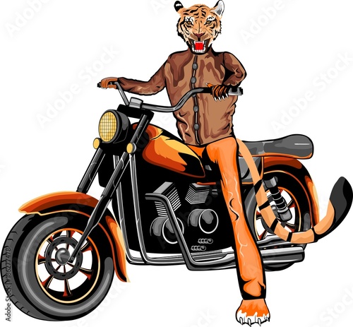 Tiger on motorbike