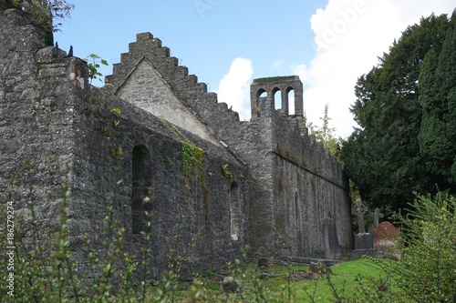 Canvas Print Ancient stone ruins of an Abbey outside Dublin, Ireland