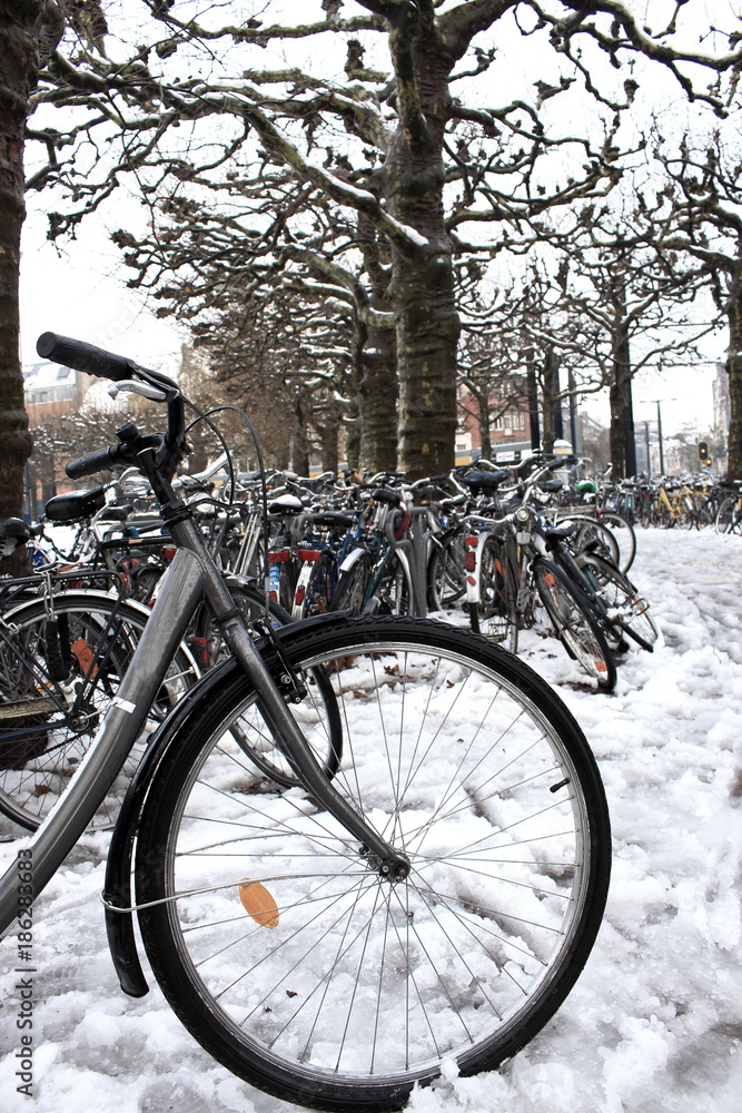 Outdoor bicycle parking with bikes near trees. Urban transport in winter, Europe. Transportation background. Bikes on snow. Outdoor bicycle parking with bikes near trees. Urban transport in winter, Europe. Transportation background. Bikes on snow.