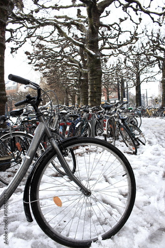 Outdoor bicycle parking with bikes near trees. Urban transport in winter, Europe. Transportation background. Bikes on snow.