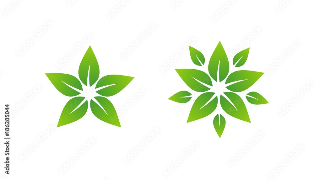 star leaf